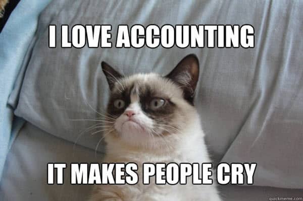 accounting makes people cry cat meme