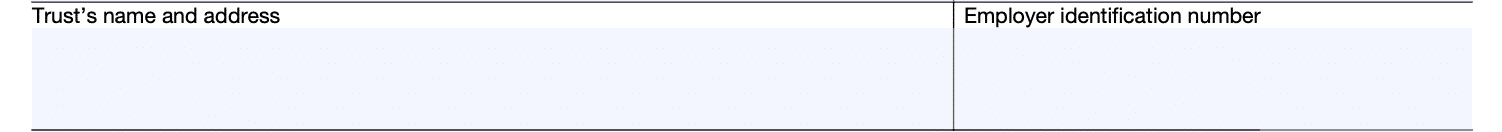 Part III form 2553 - trust's details