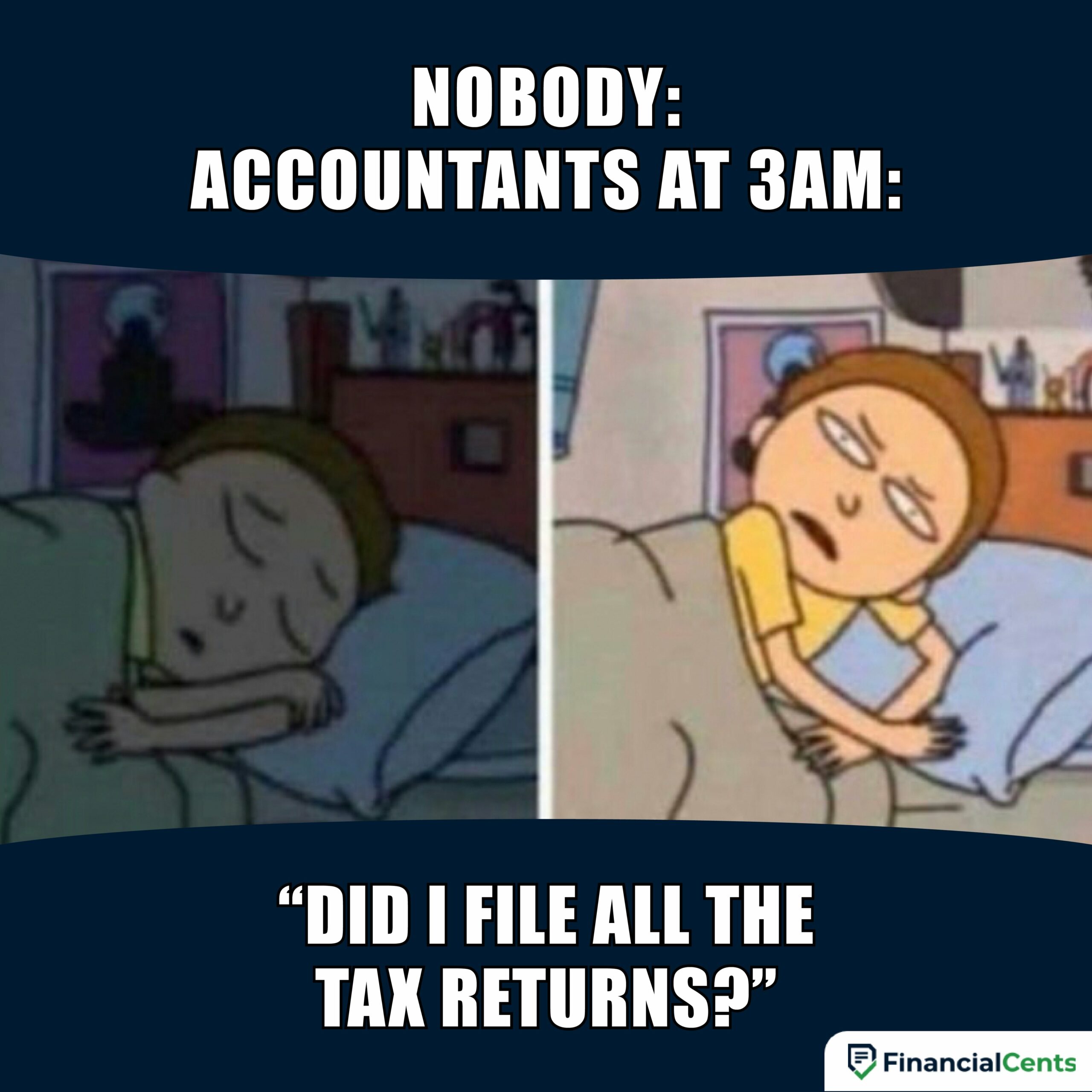 did i file the tax returns meme