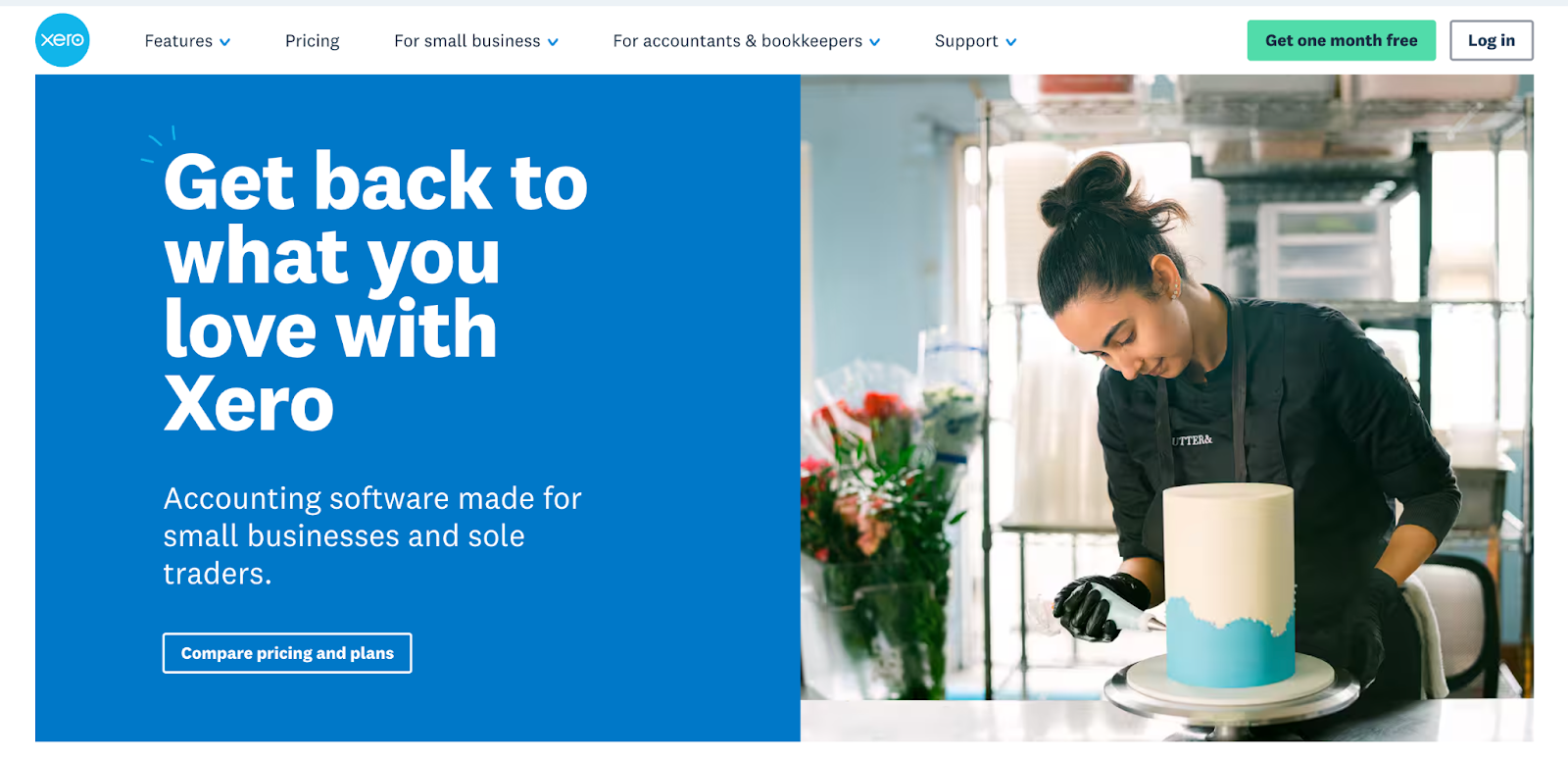 xero accounting software