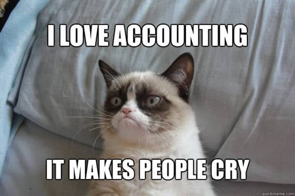 cat meme - i love accounting