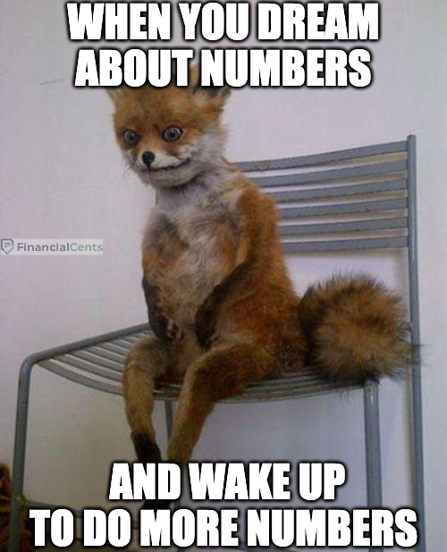 tax memes - disoriented squirrel - dreaming and waking up to do numbers