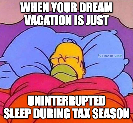 homer simpson meme - uninterrupted sleep during tax season