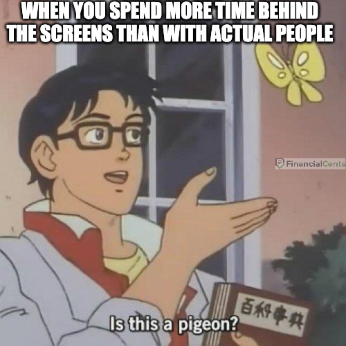 tax memes - is this a pigeon?