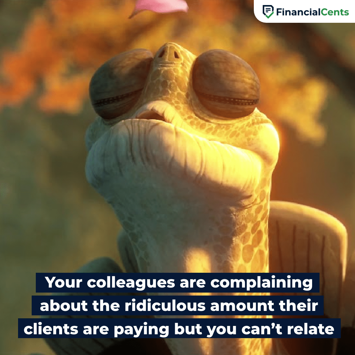 accounting meme - kungfu panda tortoise inner peace