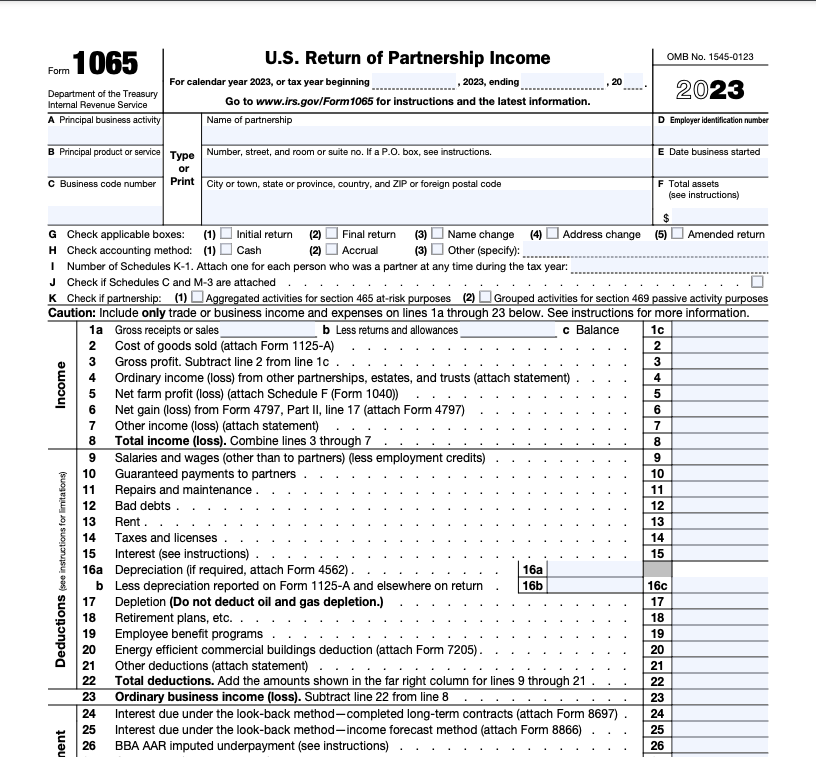 snapshot of IRS form 1065