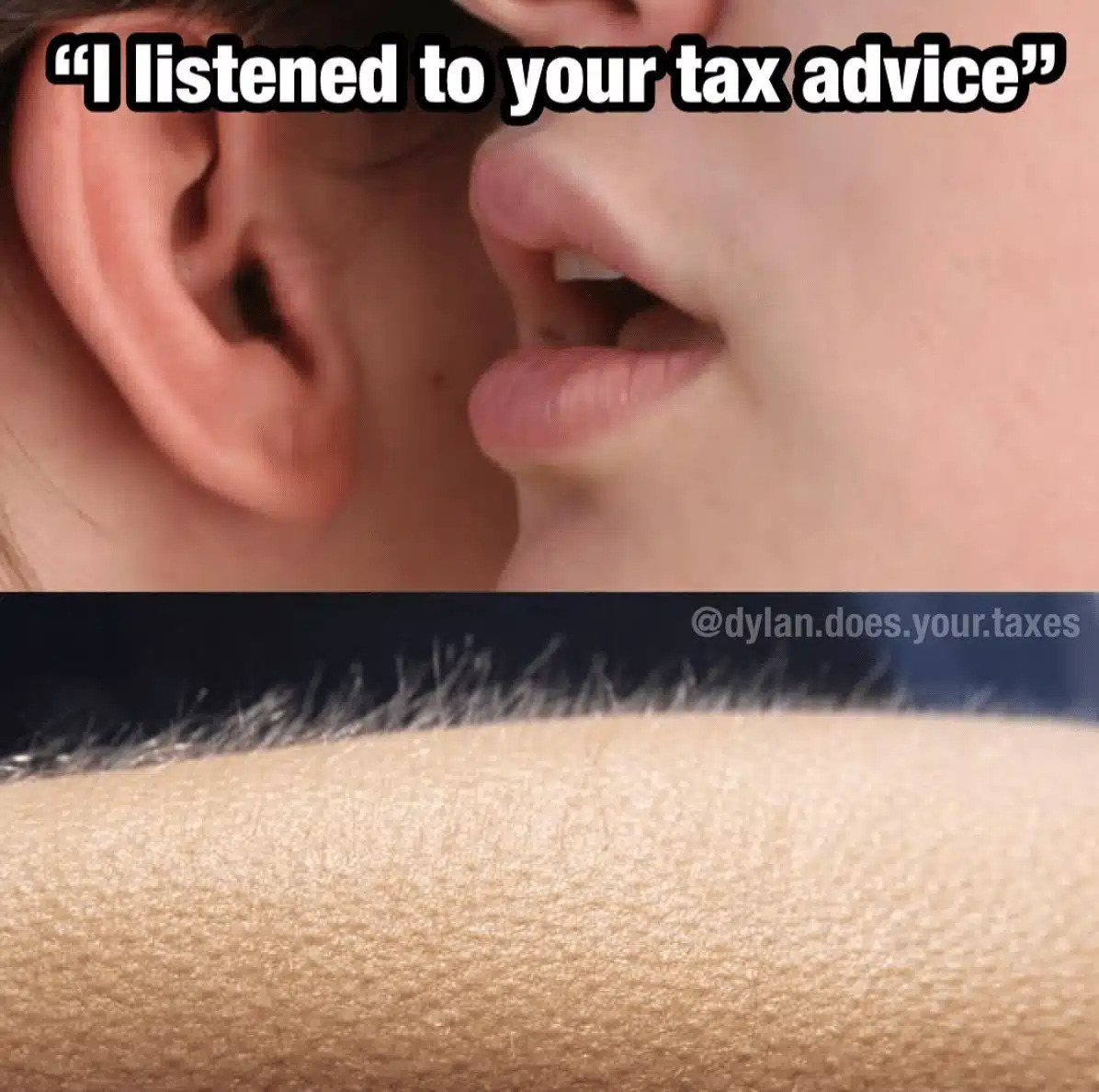 I listened to your tax advice goosebumps meme