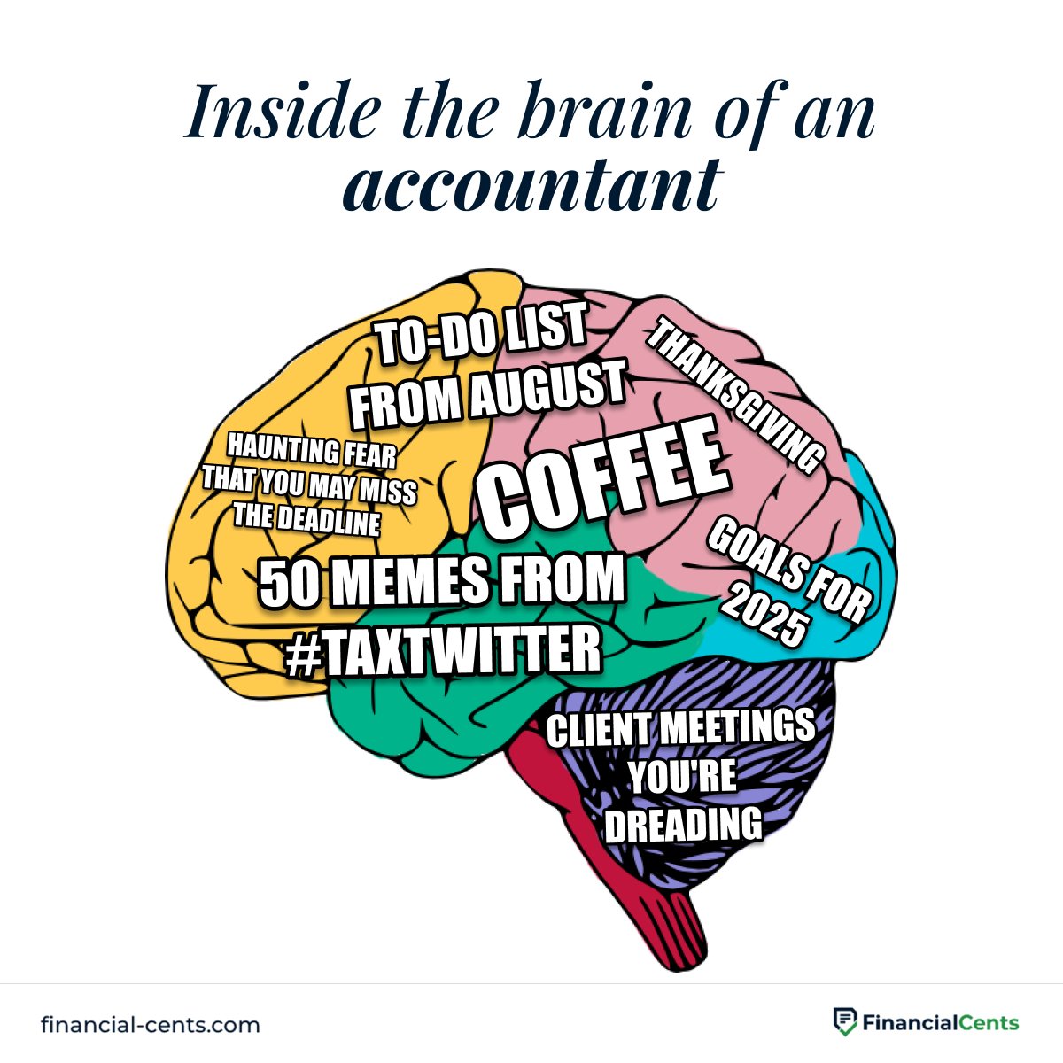 meme showing what the brain of an accountant looks like