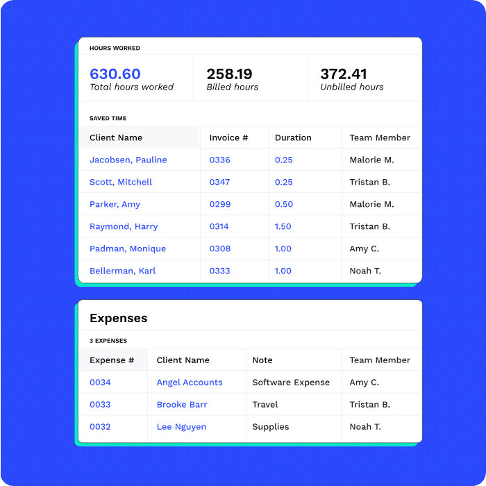 Canopy time and billing interface