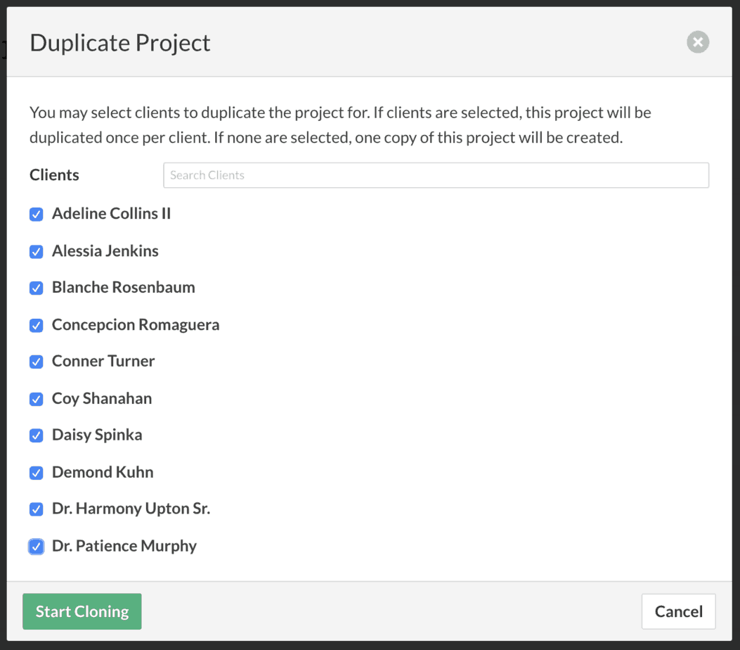 duplicate project snapshot