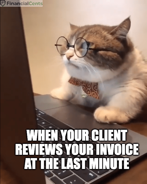 cat - client reviewing invoice at the last min meme