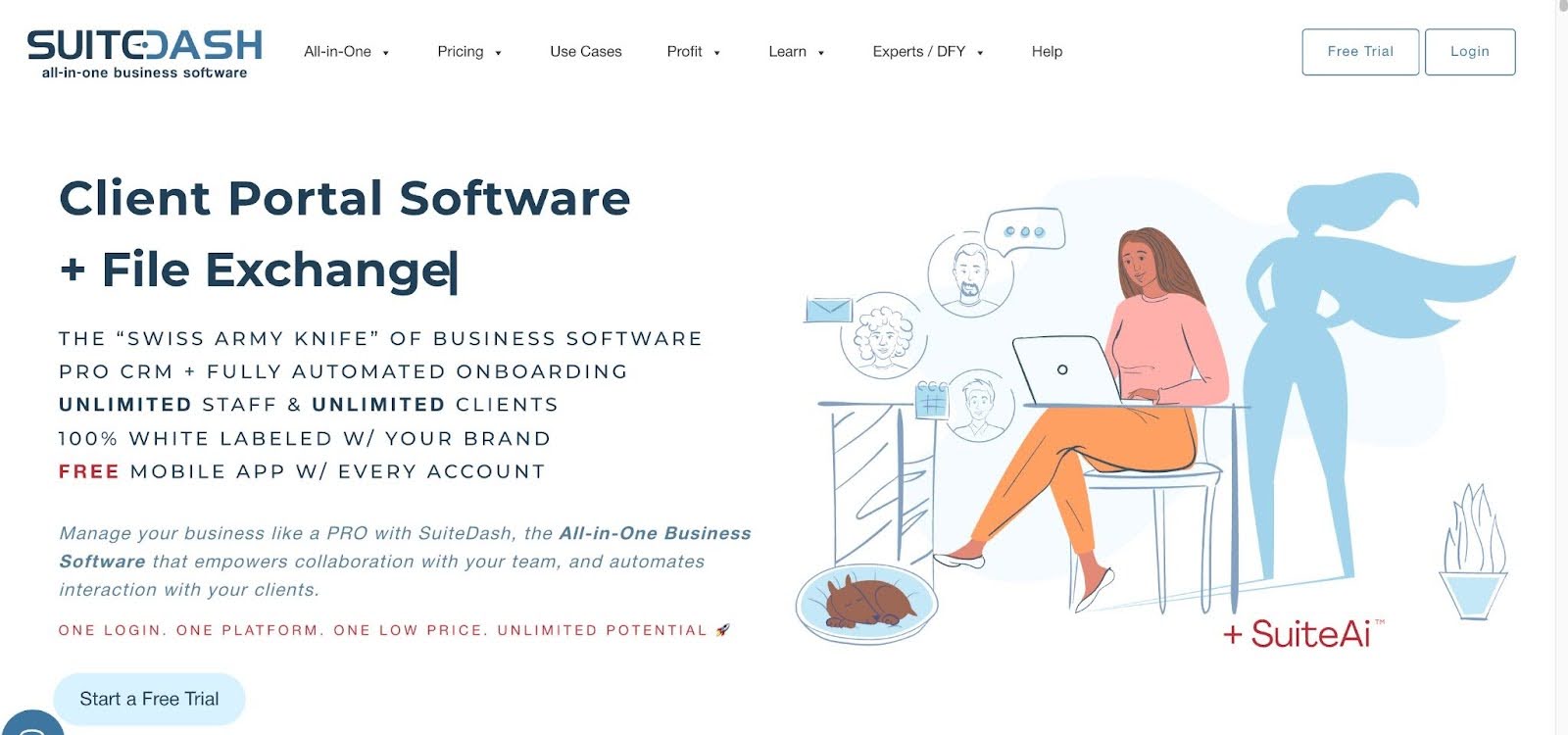an overview of suitedash client portal software