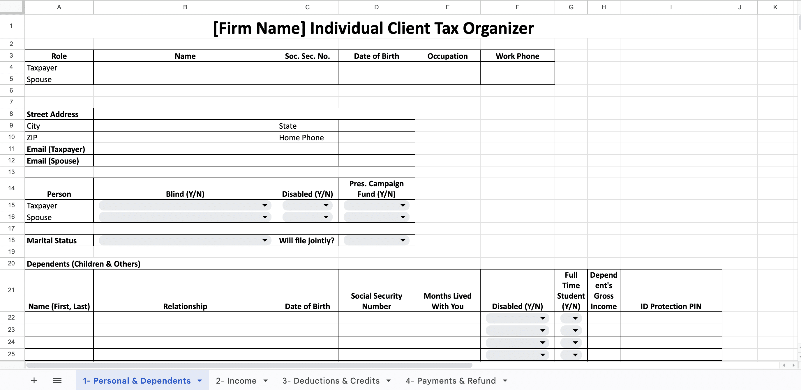 sample of individual client tax organizer template