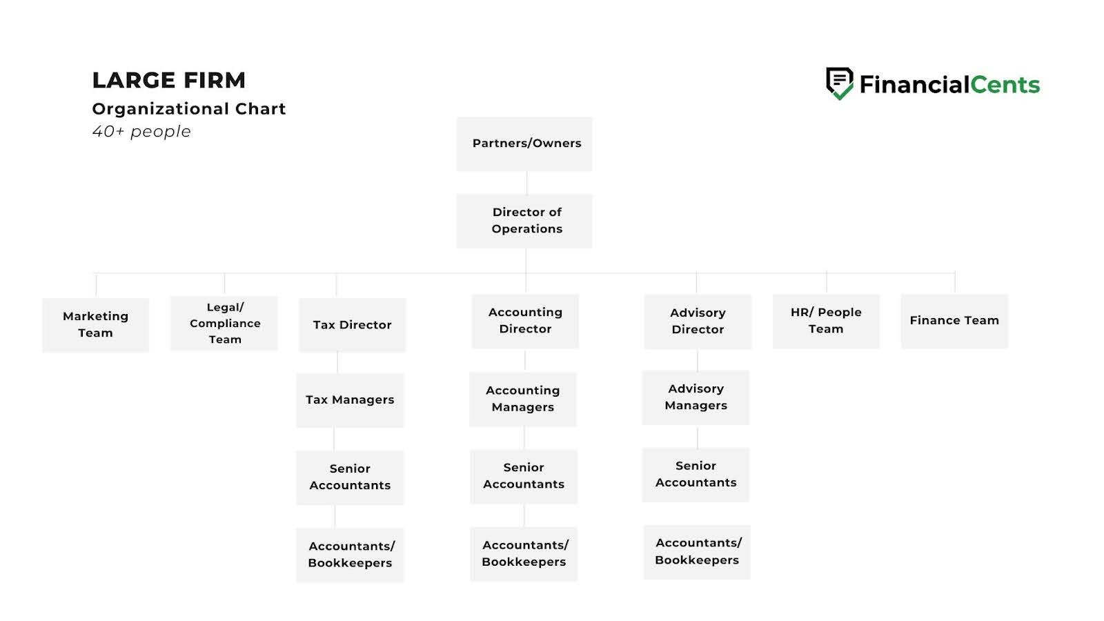 organizational chart for large accounting firms